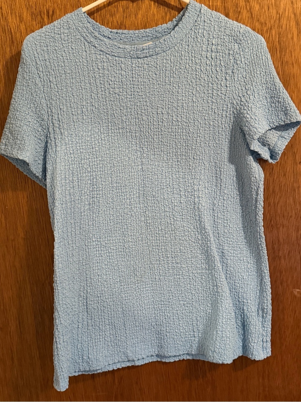 Time and Tru Light Blue Textured Short Sleeve Top